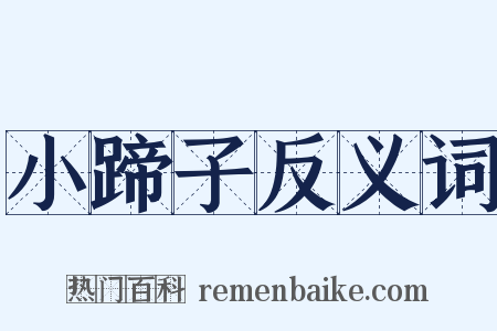 小蹄子反义词是什么意思的图片